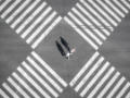 People walking through a traffic crossroad